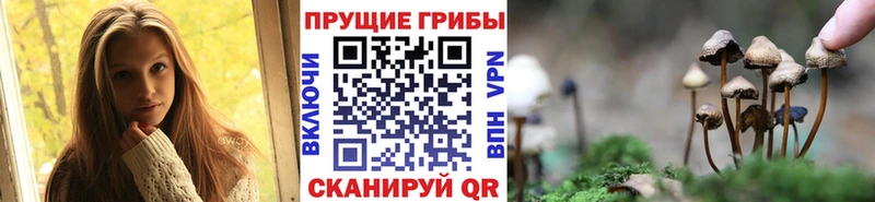 как найти закладки  мориарти телеграм  Галлюциногенные грибы ЛСД  Дербент 